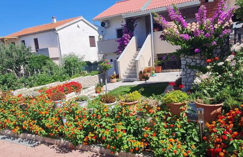 Apartman "Flower Garden" - Foto 2