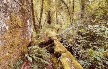 Casa da Rapadoira - Foto 50