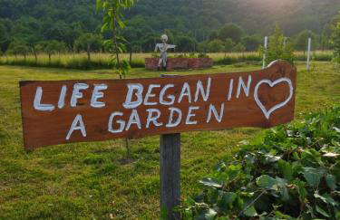 Kuća za odmor Sichelberg - Foto 22