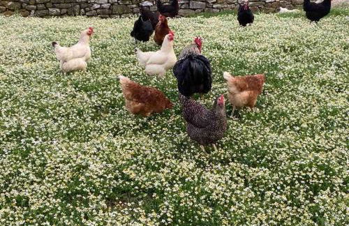 HEAVEN HOUSE - Photo 12