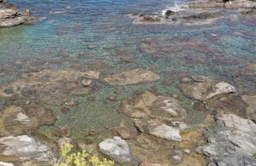 Comme un phare sur la mer - Foto 3