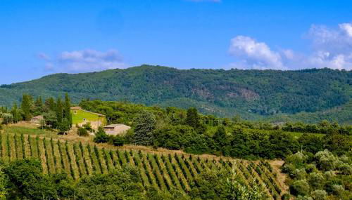 Podere Pruneto - Foto 2