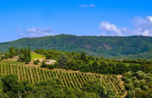 Podere Pruneto - Foto 2