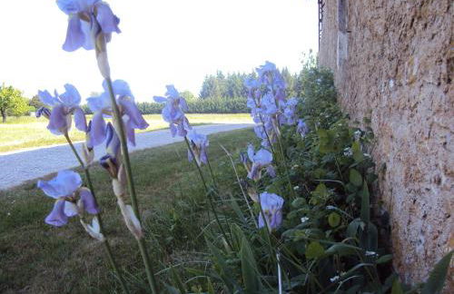 Clos de Bel Air - Photo 25