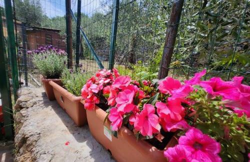 CASA AMELIA - Foto 42