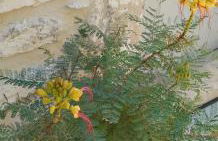 Namaste Family House - Photo 35