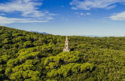 Castello Bellariva - Foto 70