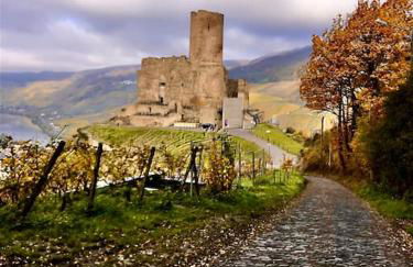 Wohnen direkt an Mosel und Goldbach - Foto 36