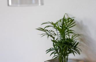 Mirabell Panorama Suite - Foto 15