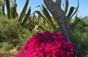 Quinta Vale da Paz - Foto 51