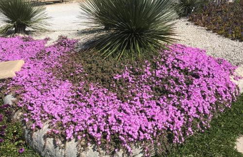 Mythos Holidays & Events - Photo 73