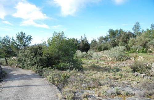 La petite Cigale - Foto 31