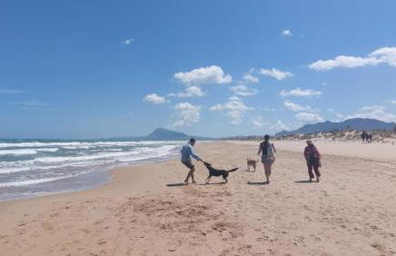 AmaNacer Oliva - Photo 20