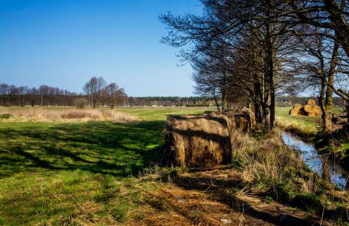 Berezecki Family - Foto 17