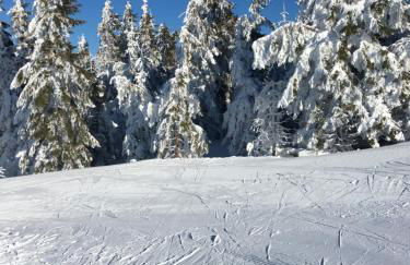 Blackforest Apartment - Foto 51