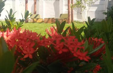 Casa Porto de Pedras_Patacho_Milagres - Foto 29