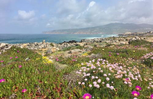 Family home 5min away from Guincho Beach - Foto 26