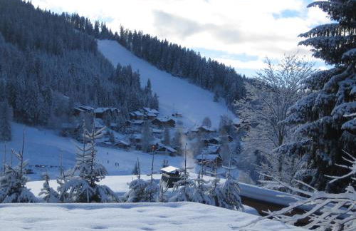 Grangettes - Foto 22