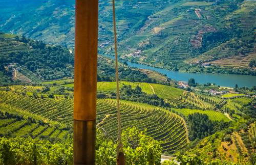 Casa da Oliveira - Photo 8