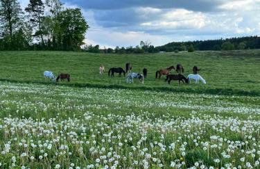 Przystanek Gałkowo - Foto 75
