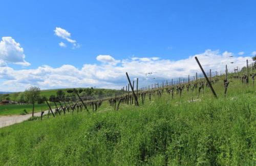 Sonniges Balkonapartment, Ahausen - Foto 28