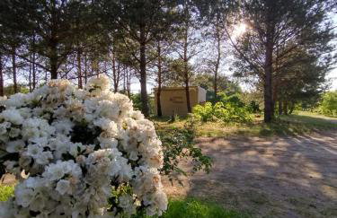 Kruszkanawierzbie - Foto 23