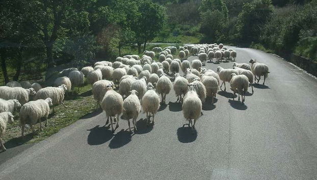 Recorreremos caminos rurales