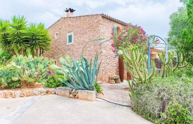 Can Pina - Eco Pina - - Photo 21