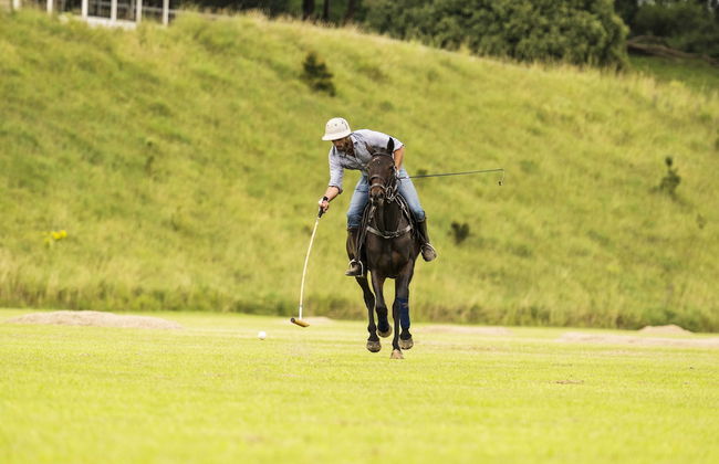 Beechmont Estate - Foto 34