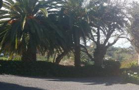 Casa el Porte - Foto 50