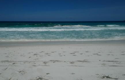 Casa verde - Foto 14