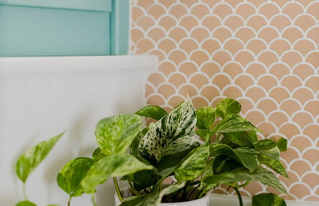 La Casa Degli Archi - Foto 12