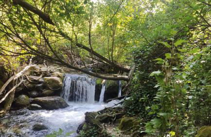 La casa de mayfer - Foto 25