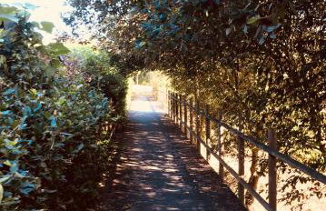 casadaeiradeangeja - Foto 17