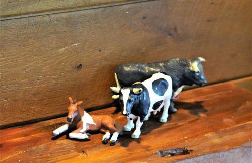 Schwarzwaldblick - Foto 28