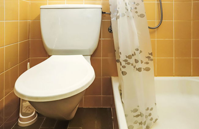 Rosablanche B22 - Foto 10