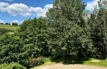 Ferienwohnung Morgenblüte - Foto 23