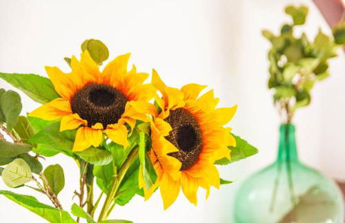 Casa Callejita del Clavel - Foto 22