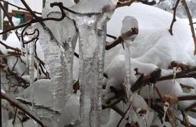 Μακρινίτσα Αλώνια - Foto 39