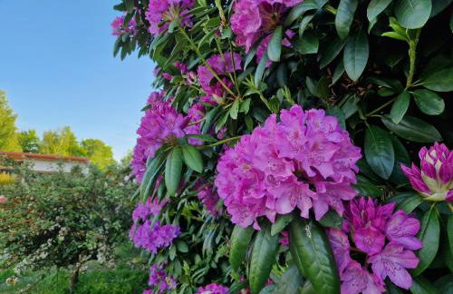 Ferienhaus im Moor - Foto 33