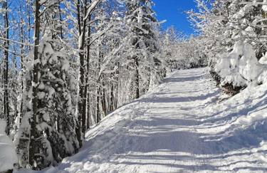 Gîte Les Plains Champs - Foto 14