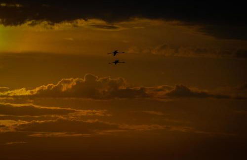 Residence Eden - Foto 28