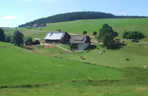 Altvogtshof - Photo 8