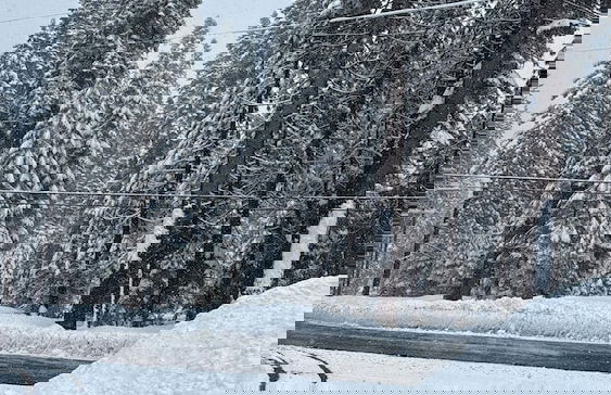 La Veranda - Photo 39