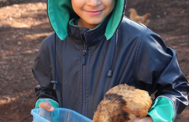 Pump Hill Farm Cottages - Photo 50