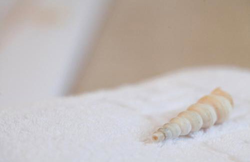 Pserimos Villas - Photo 78