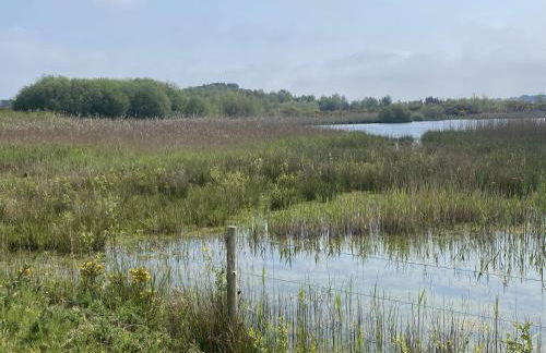 Swan Cottage - Photo 40