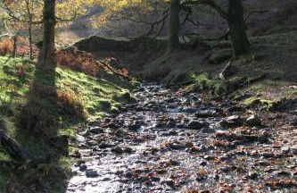 Rock Cottage - Log burners and jacuzzi bath - Foto 24