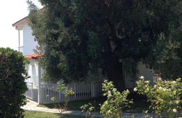 Villa Maria mola - Foto 51