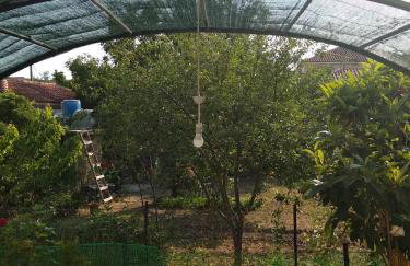 Summer Dream - Foto 20